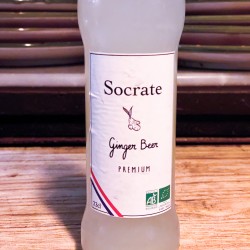 Socrate Ginger Beer